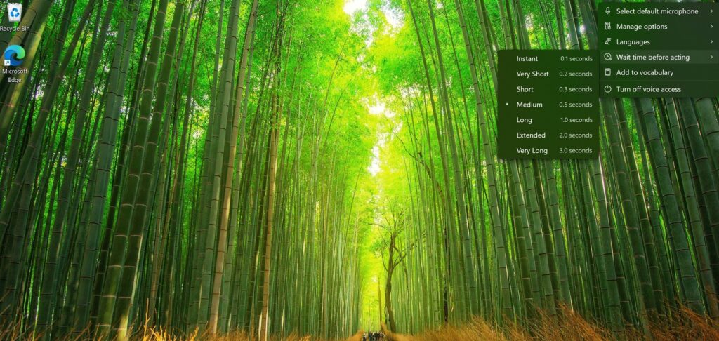 تصویری از دسکتاپ که کاربر را در حال دسترسی به زمان انتظار قبل از دسترسی به گزینههای منوی تنظیمات در Voice Access نشان میدهد. گزینه هایی به کاربر ارائه می شود "فوری"، "خیلی کوتاه"، "کوتاه"، "متوسط"، "طولانی"، "تمدید شد" و "خیلی طولانی".