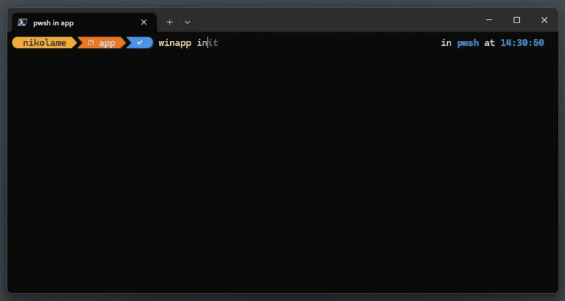 یک ویدیو/گیف از دستور init winapp که در یک پوشه اجرا میشود و مانیفست، داراییها، گواهی و پیشبینیهای C++ را ایجاد میکند.