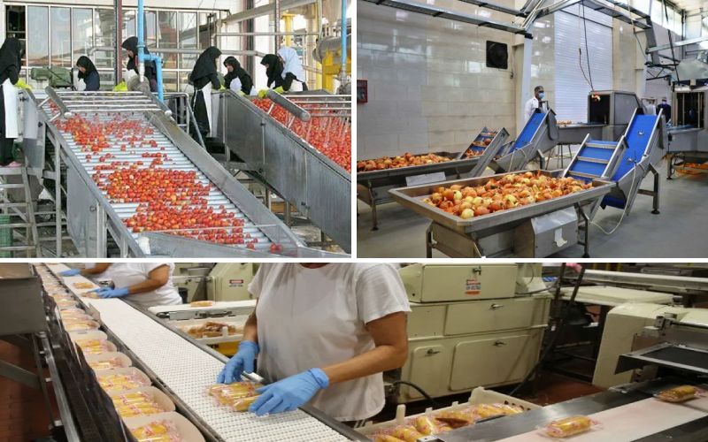 لیست کارگاه های تولیدی کوچک و صنعتی لیست مشاغل تولیدی از نگاه محتوا مارکتینگ ایده کارگاه تولیدی کوچک خانگی