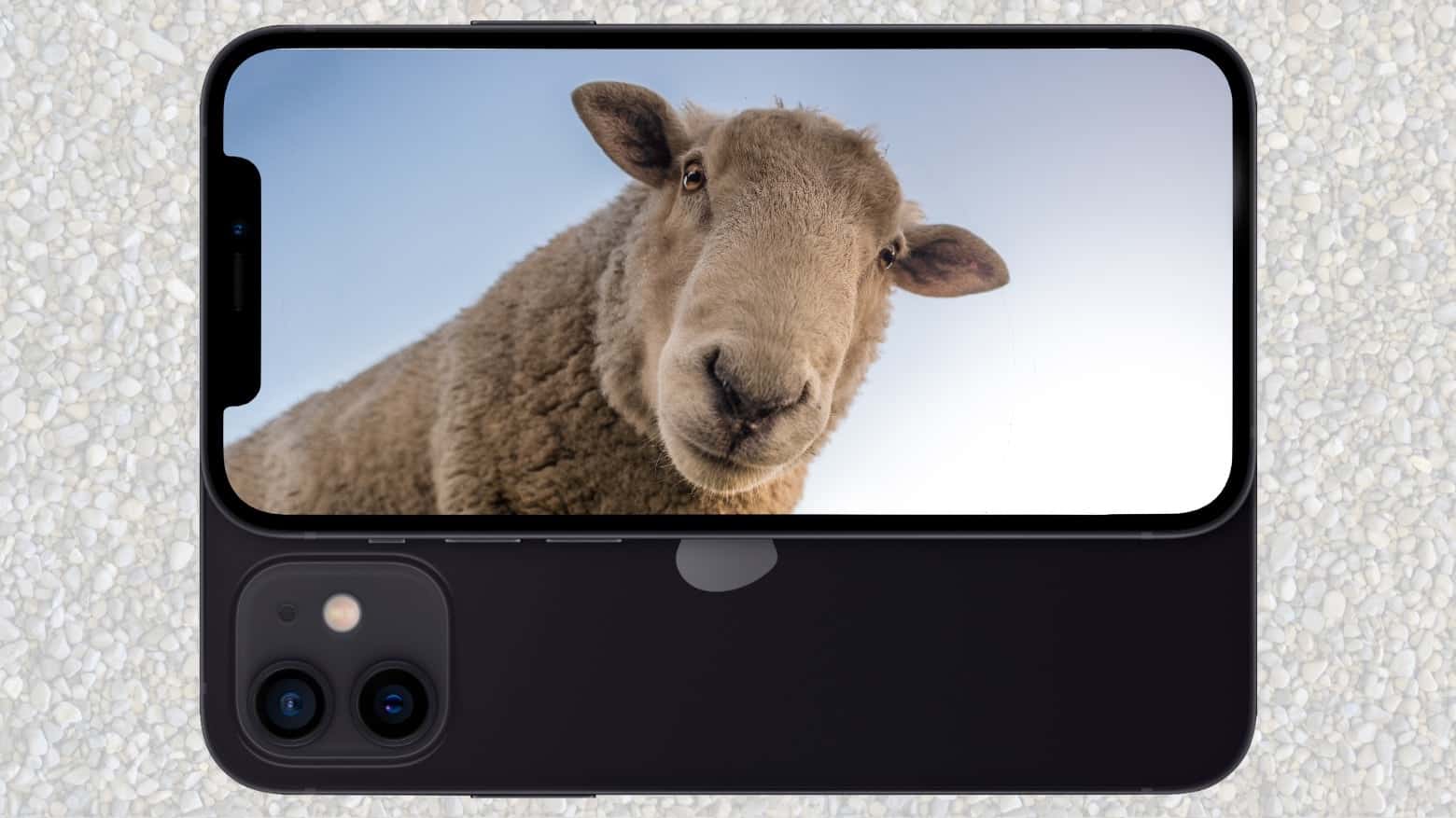 فرقه Android - برنامه های FleeCeware 400 میلیون دلار از کاربران مظنون کلاهبرداری می کند