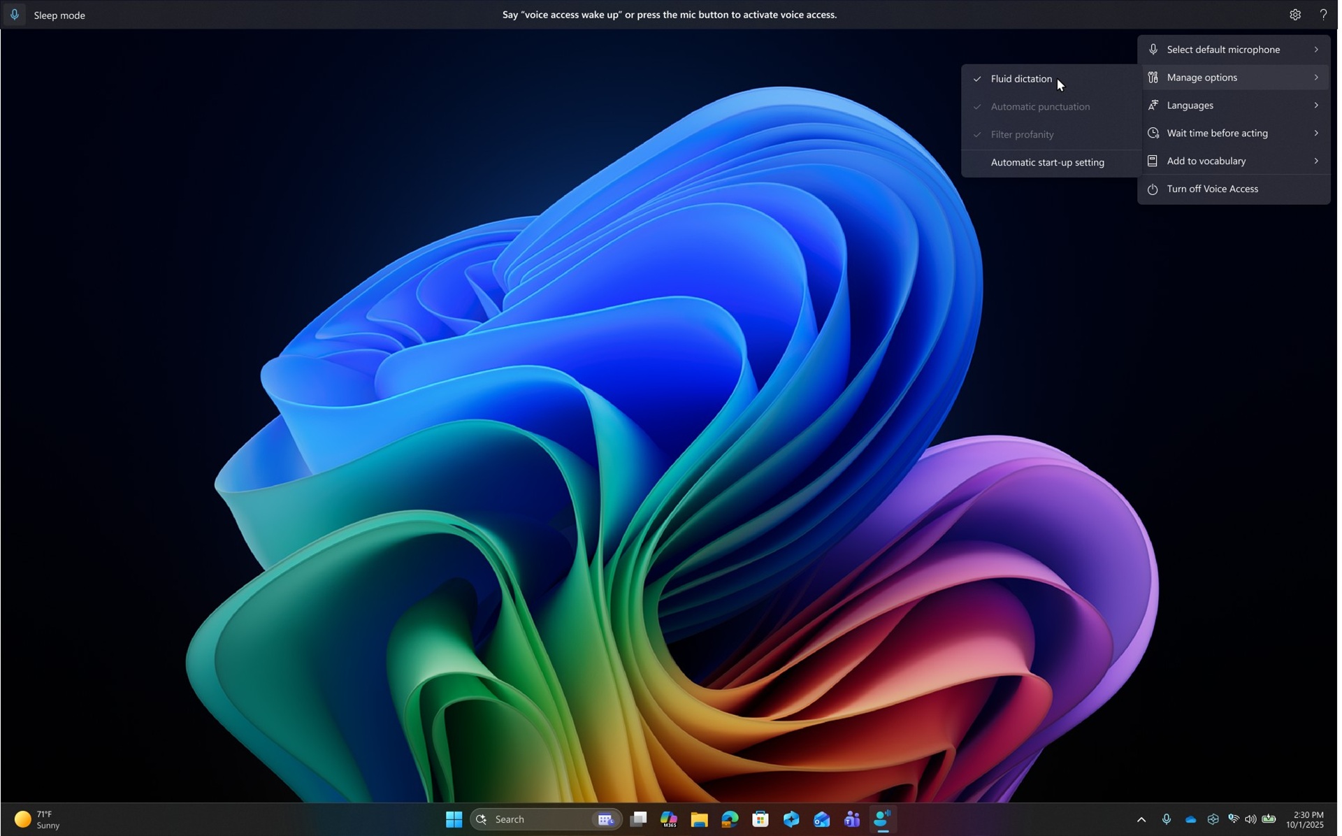 2025 - یک سال خلاصه - قابلیت دسترسی به ویندوز